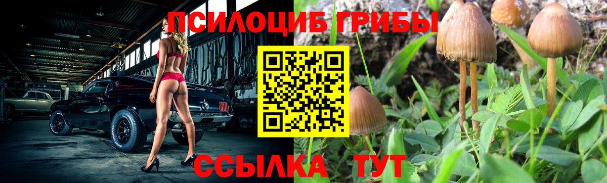 Псилоцибиновые грибы Psilocybe  Псилоцибиновые грибы ЛСД  Мариинск  Вход с VPN 