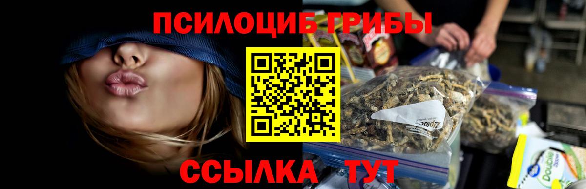Псилоцибиновые грибы Psilocybe Мариинск